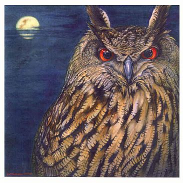 Eagle Owl - European Eagle Owl by Linda Parkinson